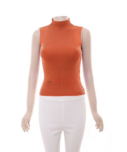 Turtleneck Sleeveless Top