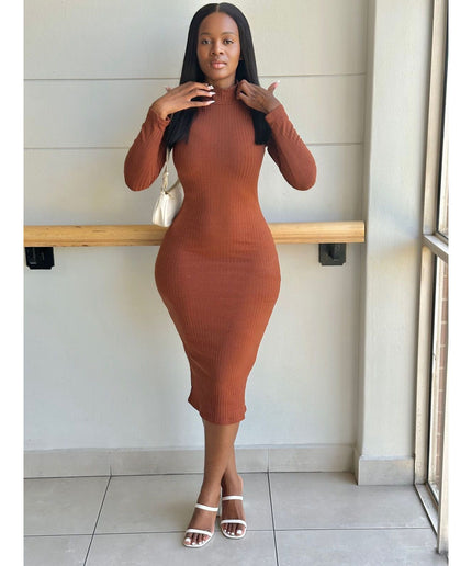 Turtleneck Long Sleeve Bodycon Dress