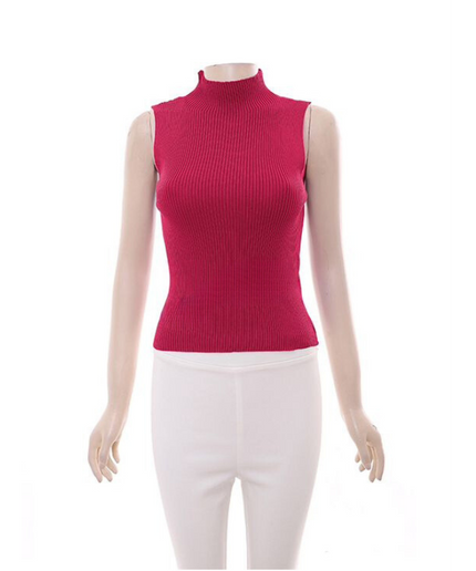 Turtleneck Sleeveless Top