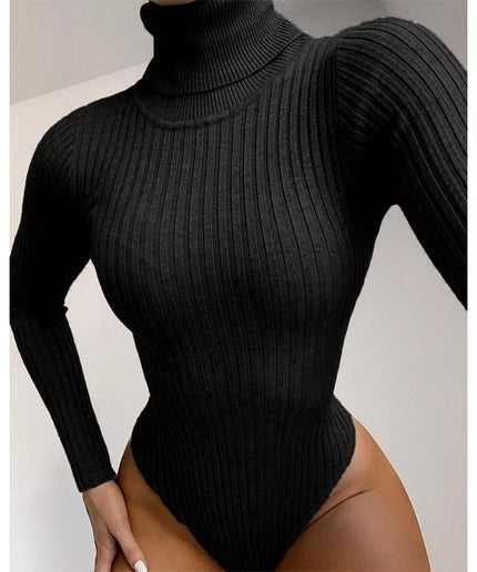 Ribbed Knit Bodysuit Turtleneck