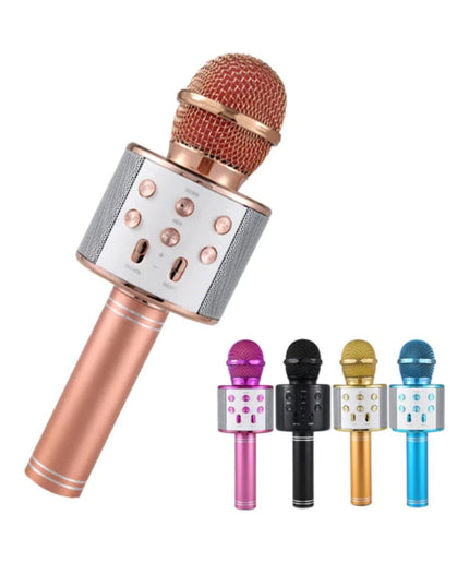 Karaoke Microphone