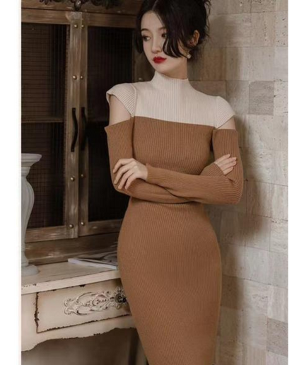 Turtleneck Long Sleeve Dress