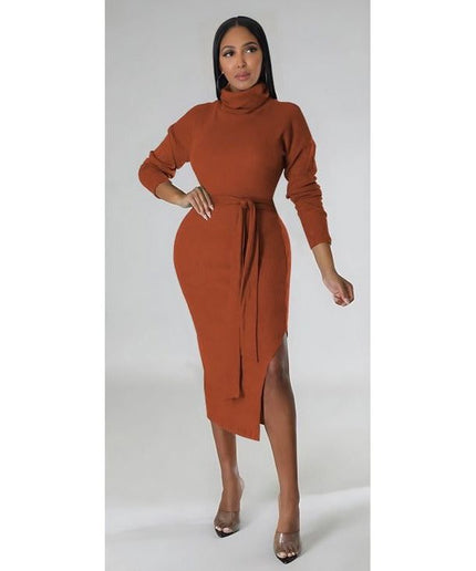 Turtleneck Slit Bodycon Dress