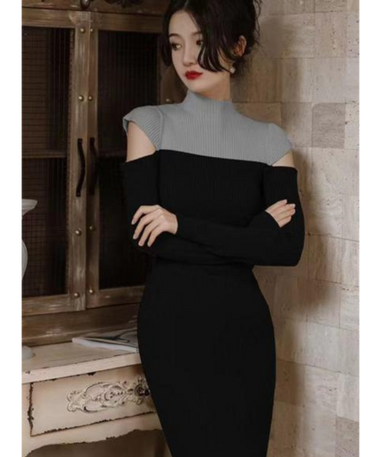 Turtleneck Long Sleeve Dress