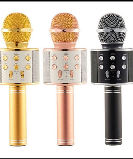 Karaoke Microphone