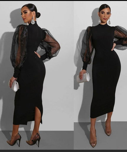 Bodycon Mesh Long Lantern Sleeves Dress